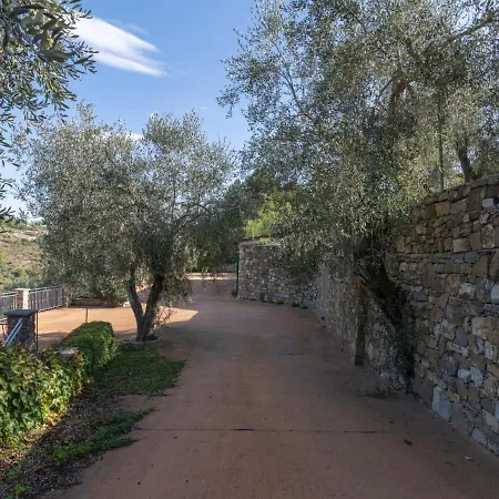 Locazione Turistica Matisse Lingueglietta