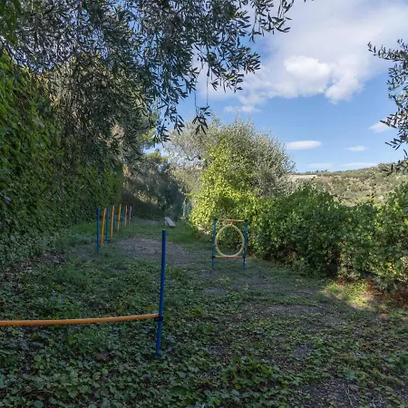 Locazione Turistica Matisse Lingueglietta